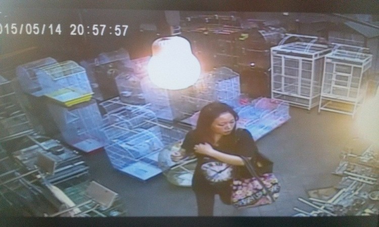 Ů�ӱ��O(ji��n)���ĵ�ͽ��͵�W�^ �q�Q:�����в�֪�ڸ���