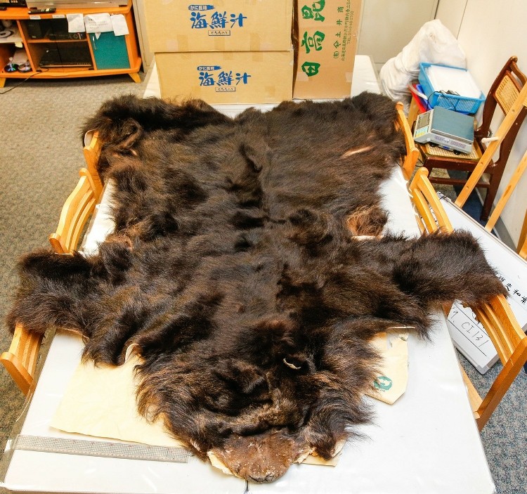 �_(t��i)���I(l��ng)�(du��)���ձ���˽����������Ƥ