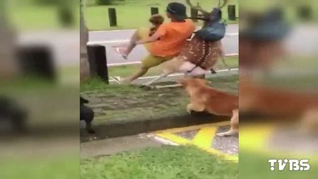 ��������÷��¹���������������ײ���܂����D��