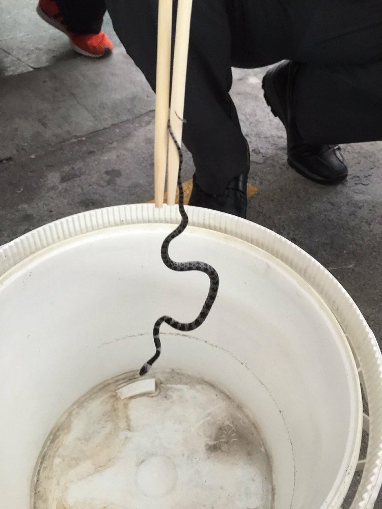 �_(t��i)�F��܇(ch��)�@�F(xi��n)30����С�� ܇(ch��)�L(zh��ng)�^��ͽ�ֲ��@