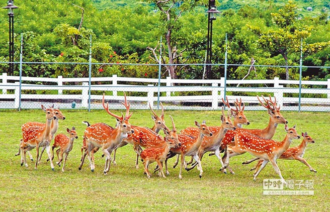 �㴺÷��¹��(f��)���гɅs���������g���(zh��n)������һ�ɽY(ji��)����