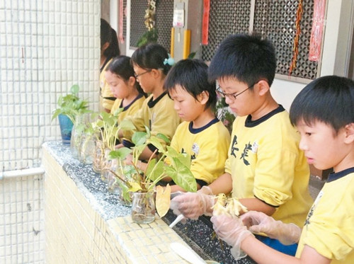 臺北市嚴防登革熱288所學校環(huán)境大掃除(圖)