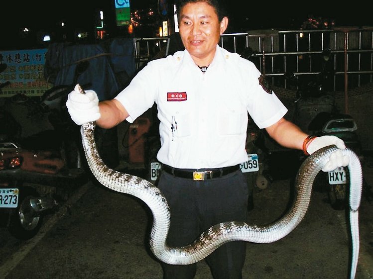 ��p�p�����ˆT�I(y��)��(w��)ؓ(f��)��(d��n)���҈@19�ճ���ȫ�_��֧�o�����o(h��)������׽�ߣ�������ꠣ��D�������ˆT׽�ߵ�����������(li��n)�ψ󡷈D��