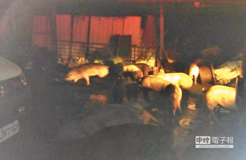 �_(t��i)��һ�i���(n��i)�tˮ����ȼ300�^�i����(ch��ng)���������D��