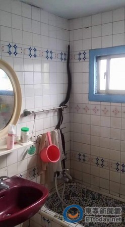 �@ֻ�ߌ����Ǵ�׌�����˶������ˡ����D���W(w��ng)���˹����ṩ��