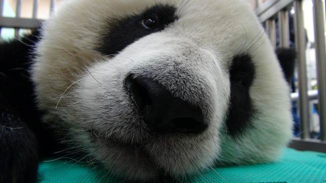 ���A�С��w�z�`����^��Ŀǰ������ų������o(w��)�K�����D/���Еr(sh��)��ӈ�(b��o)����