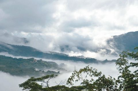 �_�ϴ��ɽ�ƺ��F(xi��n)ۙ�ο����������ɾ����D��