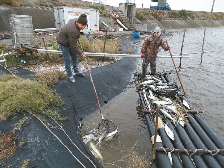 ������(l��i)�u�_(t��i)�B(y��ng)ֳ�I(y��)���؄�(chu��ng) �I(y��)�ߓpʧ�ֳ�ǧ�f(w��n)(�D)