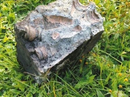 �����r(n��ng)��(ch��ng)��ʯ��t����ʯ�K�в؏�ˎ�^����ը