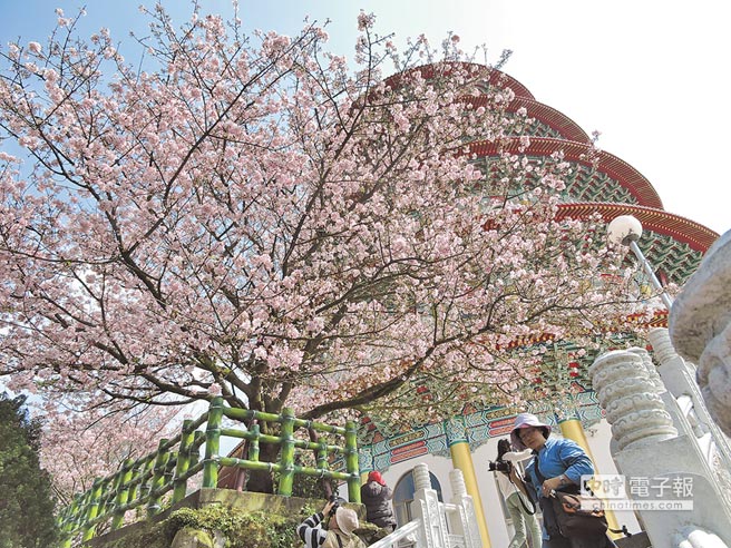 �����ߴ�ɽ�ѻ��R�� ����(ji��)�о����p(�D)