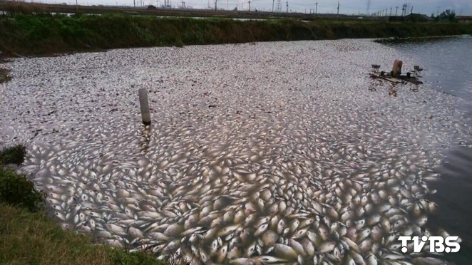 ���������д� �_(t��i)�����������fβ�I(y��)�ߓpʧ�K��