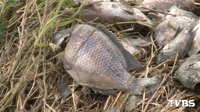 ���������д� �_(t��i)�����������fβ�I(y��)�ߓpʧ�K��