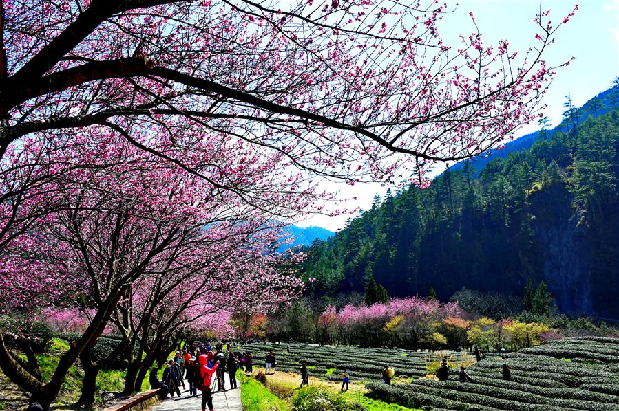 �����B(t��i)����1���_(t��i)�������p�ѻ�