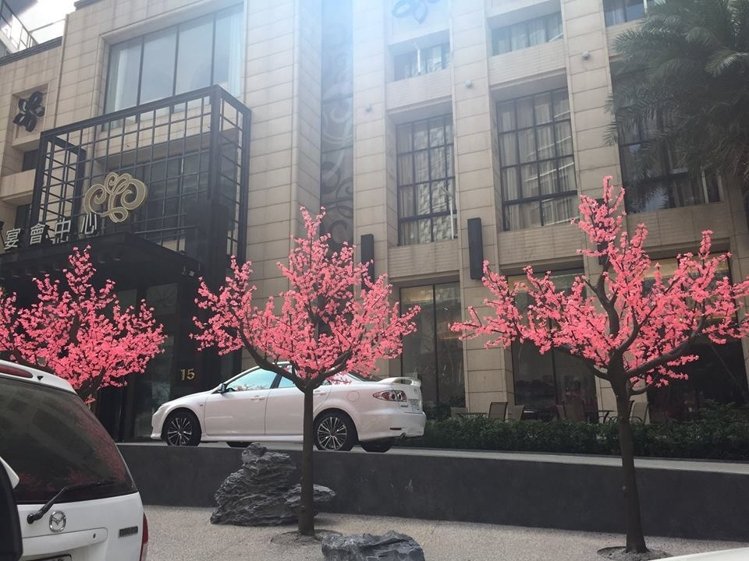 臺北公園塑料櫻花以假亂真 民眾怨嘆被唬弄(圖) 臺北公園塑料櫻花以假亂真 民眾怨嘆被唬弄(圖)