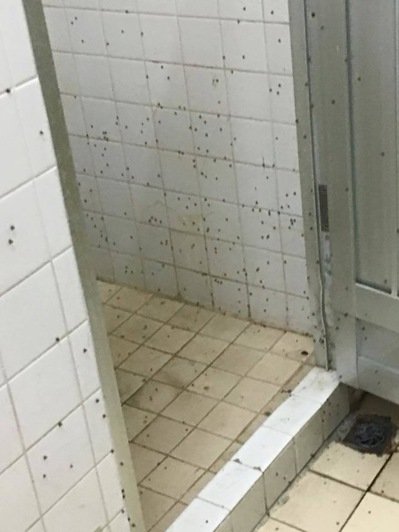 ��W(xu��)Ů��ԡ�����M�x(ch��ng) �W(xu��)��������������ϴ�裨�D��