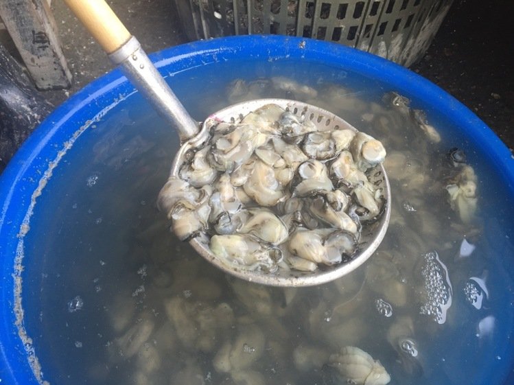 �_������1��(n��i)��Ҋ��40Ԫ ���M(f��i)���Ժ�̫�F�I����