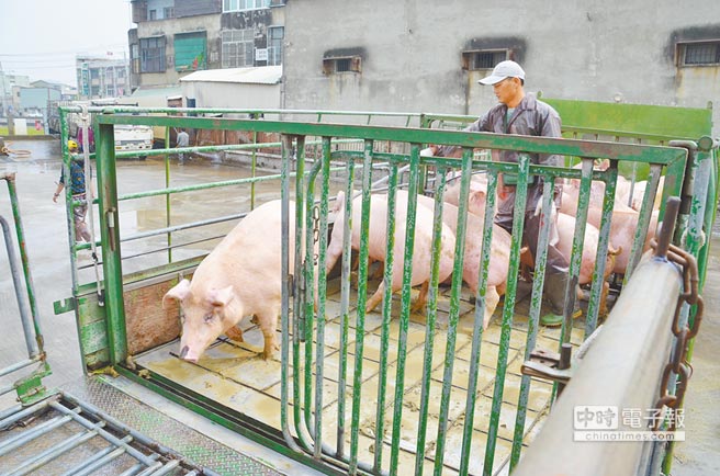 ��Ӣ���®�(d��ng)�֌����i�M�ڑB(t��i)���Ʉ������x�i�r(n��ng)�P�Բ��ų����Ͻ��^�����DƬ��Դ���_�����Ї��r�󡷣�