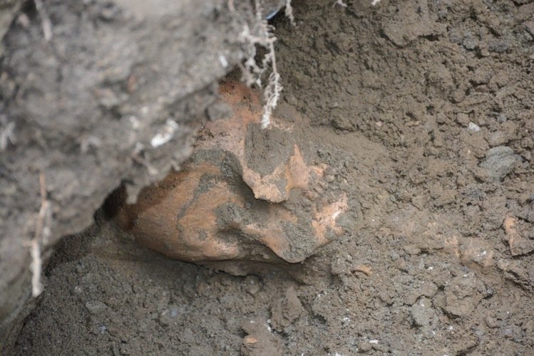 �_����ɏ��ˮ���ڳ�ǧ��Ǻ����D��