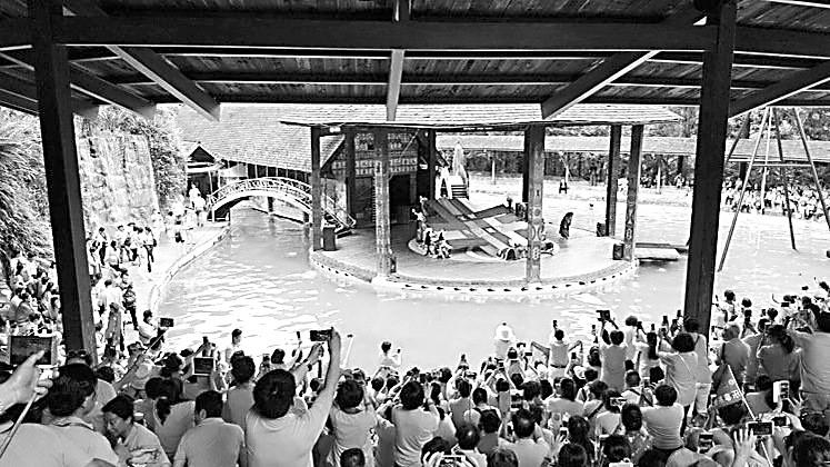 9�գ�����ꑿ͈F���_�_����չ�_�����г���