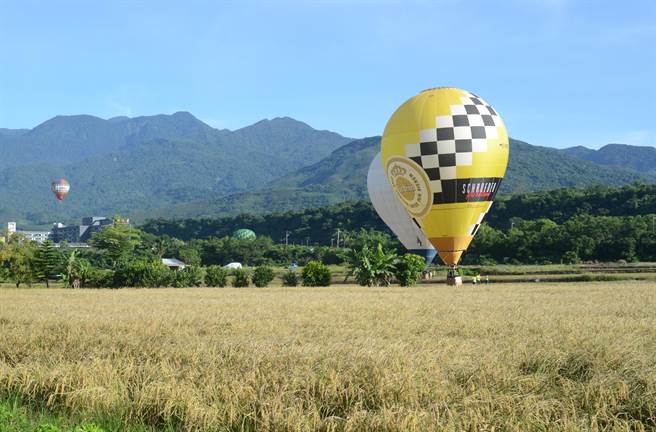 臺(tái)灣熱氣球嘉年華引農(nóng)民不滿(mǎn):降落農(nóng)田壓壞作物 臺(tái)灣熱氣球嘉年華引農(nóng)民不滿(mǎn):降落農(nóng)田壓壞作物