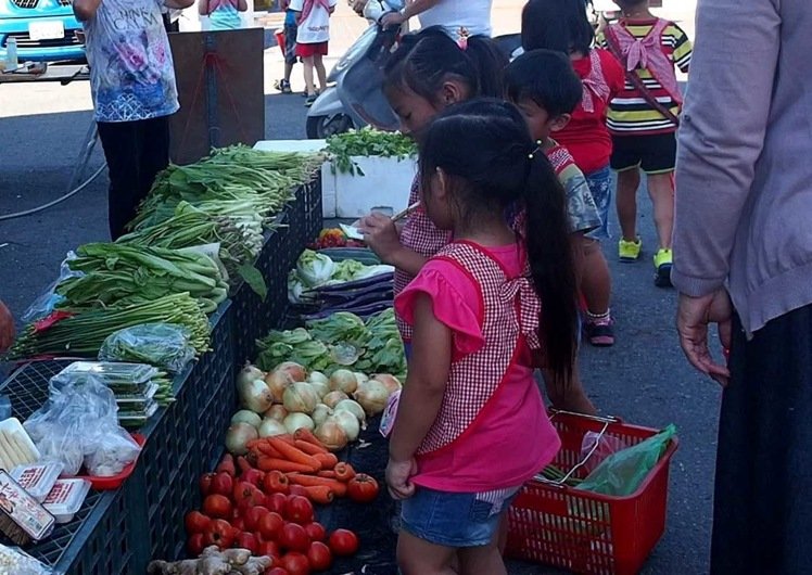 臺灣蔬菜產(chǎn)地大部分未受臺風(fēng)影響,蔬菜價格卻飆升 臺灣蔬菜產(chǎn)地大部分未受臺風(fēng)影響,蔬菜價格卻飆升