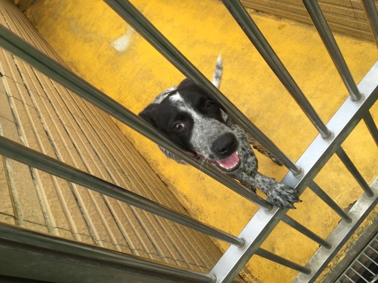 ��䚢���߼�����·�����^�����˹���ԴԴ���^�����\���ŵ��������ę����Ĺ����ȴ��Ҽҡ����DƬ��Դ���_����(li��n)�ψ󡷣�