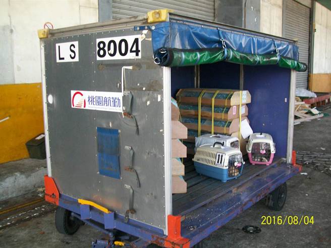 ��ǧֻĵ���B��3ֻ؈Ȯ���҈@���چT����ʧ����؛���л����������DƬ��Դ���_�����Еr��ӈ󡷣�