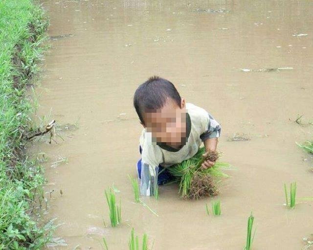 �W(xu��)�����Վ�æ�r(n��ng)�±���Ц �W(w��ng)�����Z�l(f��)���ώ�