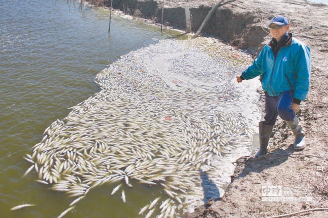 �_���O��M������������ �P(y��ng)���c�_��(d��ng)�֡�ƴ����