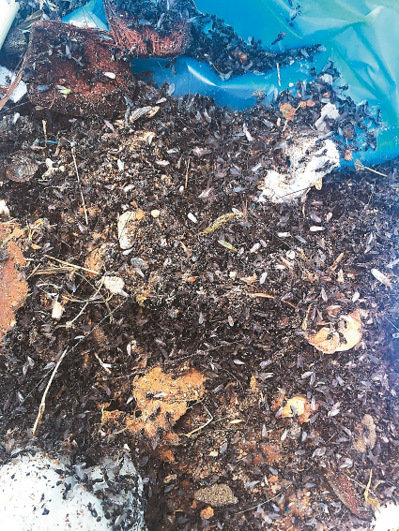 ��Ͷ�h�����l(xi��ng)���������׳�С��ρ�����DƬ��Դ���_����(li��n)�ψ󡷣�