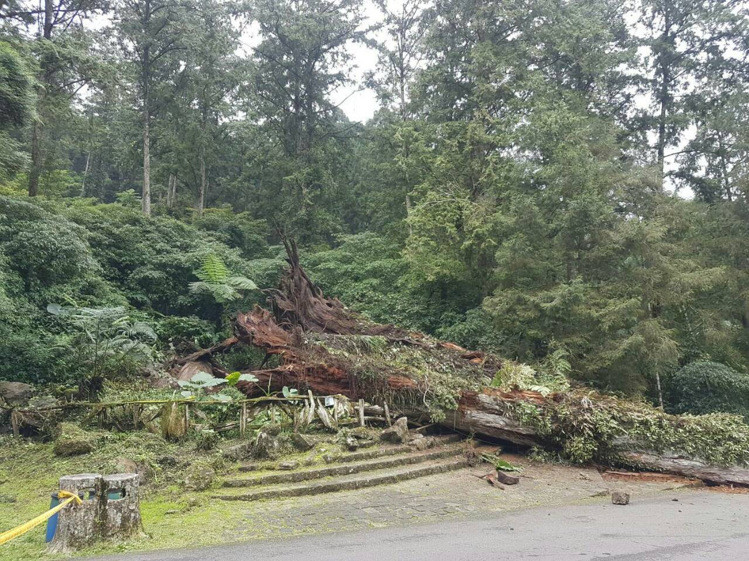 �_(t��i)��һ��ǧ��Ř�(sh��)���⵹�� �҂�3���ο�