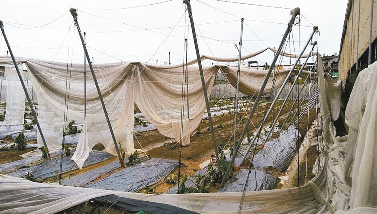 ���|�h���r(n��ng)��Щ�W(w��ng)���ϴ��_�L�������@���ֱ���