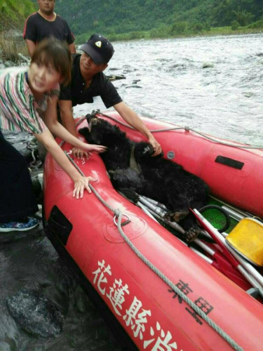 ����ɏ�h׿Ϫ�l(xi��ng)����(k��)����(k��)Ϫ�����ϰ��ٲ��ĺӴ���2��ǰ�l(f��)�F(xi��n)1ֻ�_(t��i)���������P�ںӴ�������(d��ng)�r(sh��)��Ϫ���ļ��o(w��)���ӽ���24�������ˆTǰ����Ԯ��������(���ṩ) �������硱ӛ�߱R̫���_(t��i)�|����