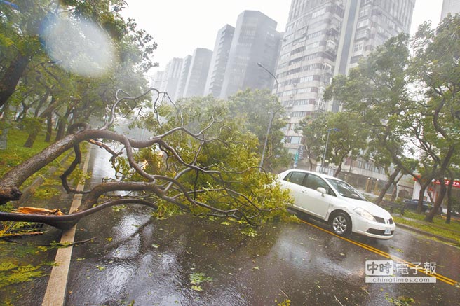 �_�L(f��ng)�����~�����_ ȫ�_4��316�����D��