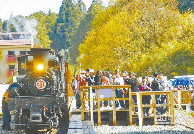 阿里山森林游樂(lè)區(qū)向來(lái)是陸客團(tuán)的最愛(ài) 阿里山森林游樂(lè)區(qū)向來(lái)是陸客團(tuán)的最愛(ài)