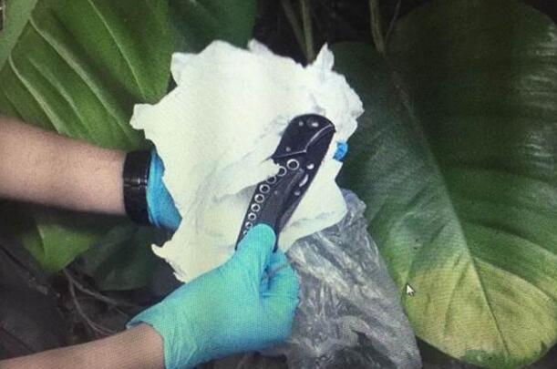 �_��܊������ʿ�������r(ji��)�XδՄ���Ѓ�����