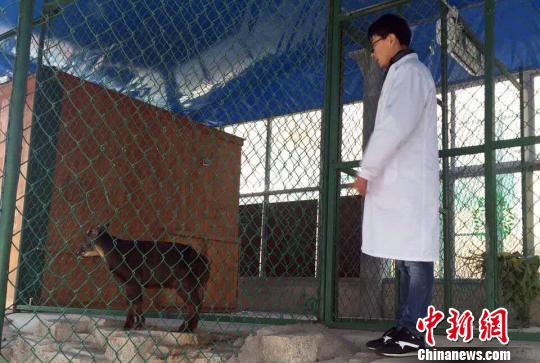 ����(w��n)ÿ������rѲҕ�����^��,�J���^�������О��B(t��i)������ɭ�� �z