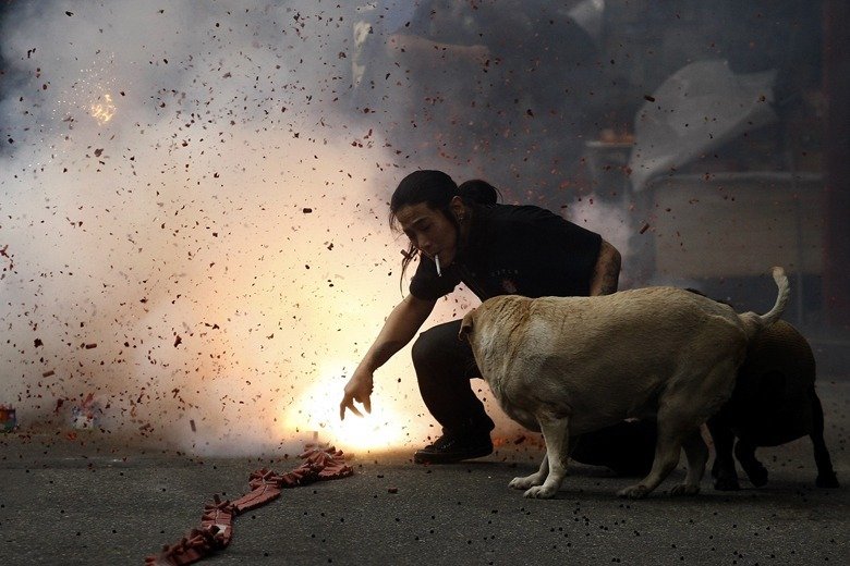 �l(shu��)�f(shu��)��Ϧ�����t�����ǳԻ�������������_(t��i)����ζ