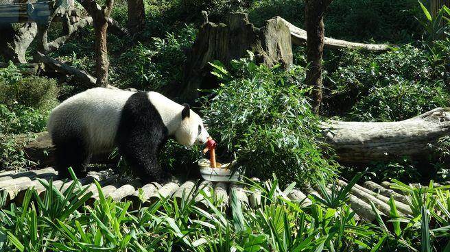 ���A�С������ز͵��ز����O�������}�������ѡ��C�C�^�����~��