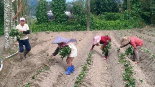 �r(n��ng)��@����������Ӱ���ɽ�عϴ������������ֻ���aֲ���_����(li��n)�ψ�ӛ�ߺ��������zӰ