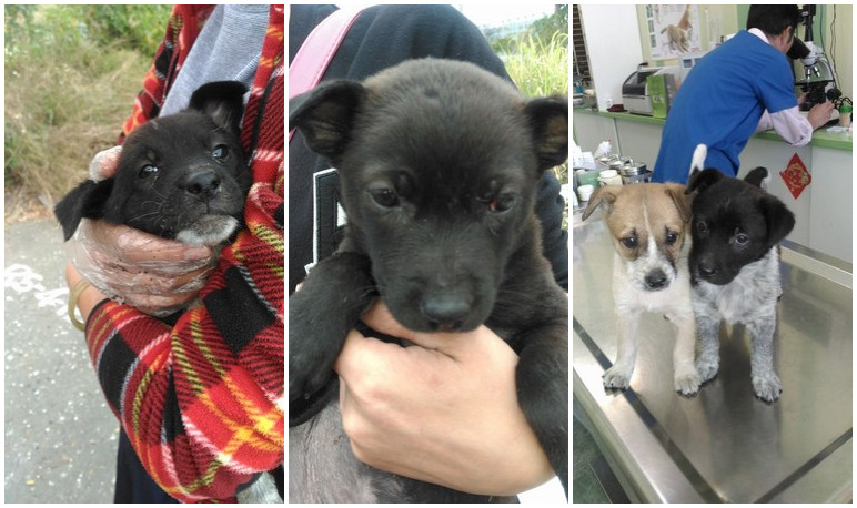 ���۬F(xi��n)׃�B(t��i)Ű��������Ȯ���������л�����