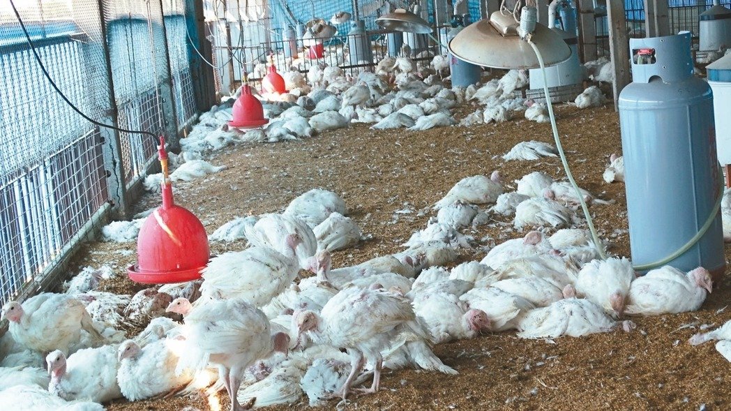 �_������������U(ku��)�� ��ɏ��ֻ���_�ϻ��u���S�ݡ�