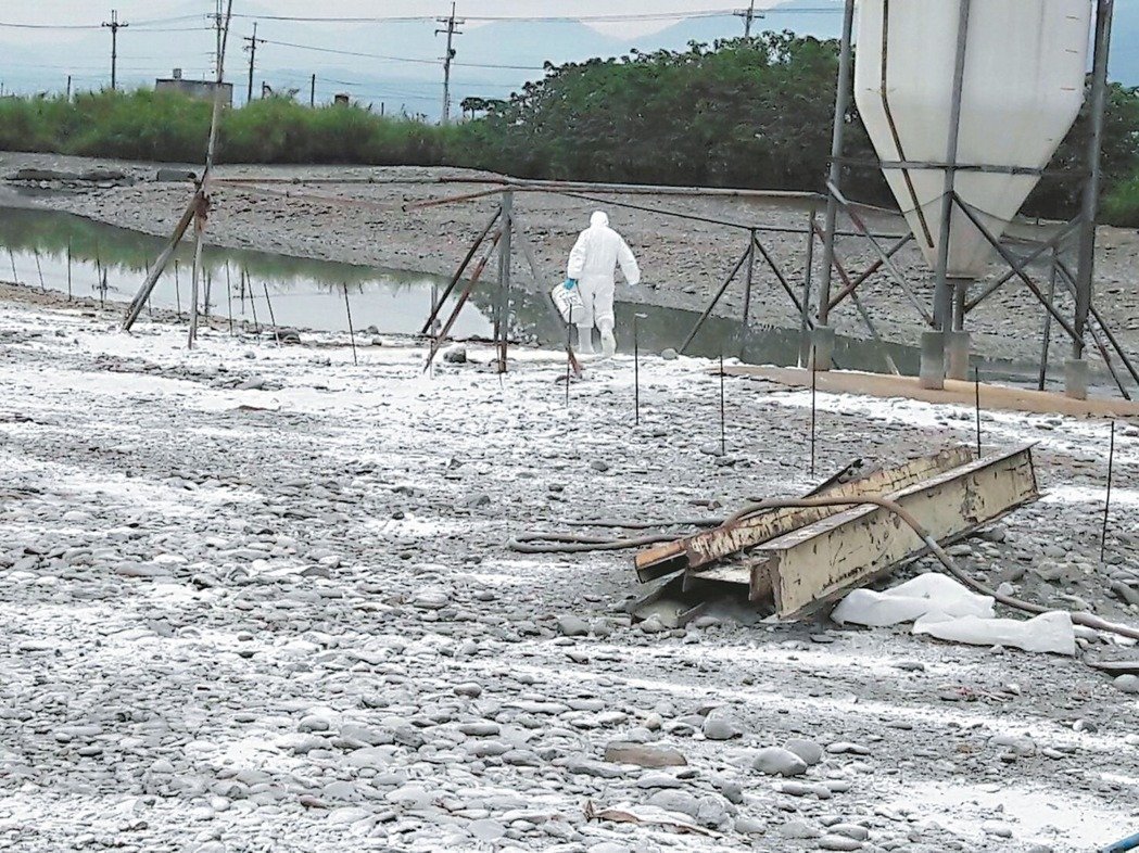 3169777.jpg 3169777.jpg