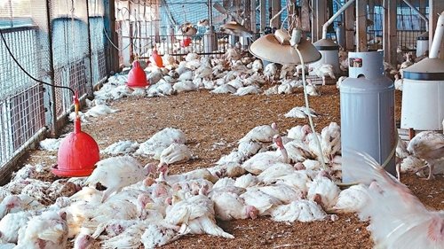 �_(t��i)�������׻��u�������������и���ɓ䚢���_(t��i)����(li��n)�ψ�(b��o)��ӛ���x�M(j��n)ʢ���zӰ