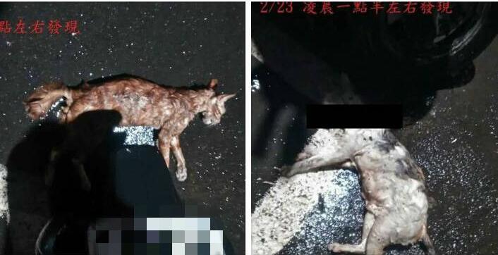 �_����¡�F(xi��n)׃�B(t��i)��؈�ֿ���Ұ؈���������ƺ퇵