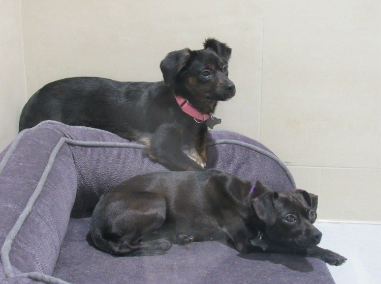 �_(t��i)���؅^(q��)����Ҏ(gu��)�����`��Ҏ(gu��)��ʳ��؈��������P25�f