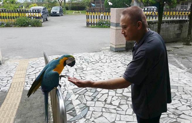 �C(j��)�`�W�^�����������u �w���ɳ�����(b��o)�����