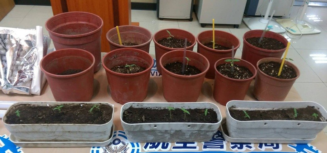 �`��������ɿ��n���Y �_(t��i)�����Ӿ�Ȼ����