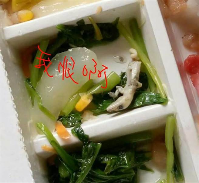 外賣驚現(xiàn)半只壁虎 網(wǎng)友:要燒了便當(dāng)?shù)? style= 外賣驚現(xiàn)半只壁虎 網(wǎng)友:要燒了便當(dāng)?shù)? oldsrc=