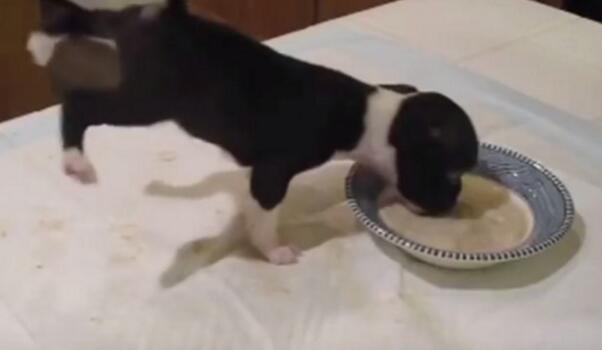 С�S�����ʩչ"�h����" �p�_�e�^(gu��)�^180���D(zhu��n)��Ȧ